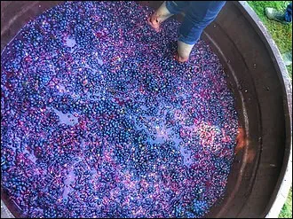 Quelle op&eacute;ration consiste &agrave; presser le marc de raisin pour en extraire le jus ou le vin ?