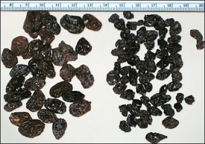 Quelle ville donne son nom à une variété de raisin sec ?
