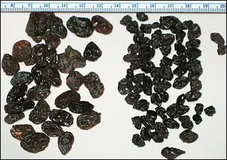 Quelle ville donne son nom &agrave; une vari&eacute;t&eacute; de raisin sec ?