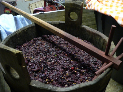 Comment appelle-t-on un moût de raisin dont la fermentation a été arrêtée ?