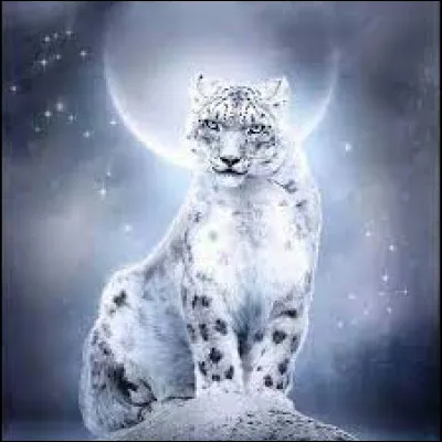 Comment est-elle surnommée ?