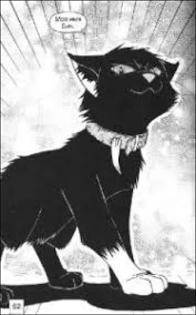 Que raconte-t-il au lieu de la vérité ?