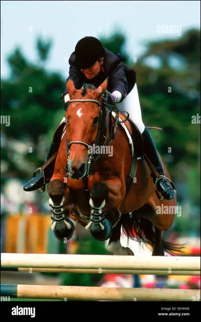 Ton modèle de cavalier, ce serait plutôt :