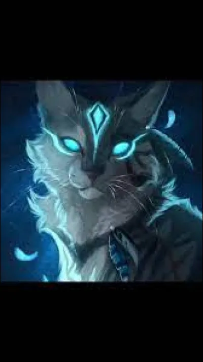 Quel est le pouvoir d'il de Geai ?