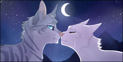 Qui est la "compagne" d'il de Geai ?