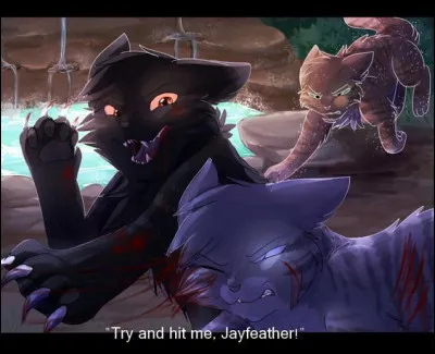 Qui est le demi-frère dil de Geai ?