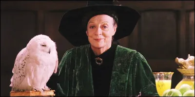 Numéro 1 : Minerva McGonagall...
