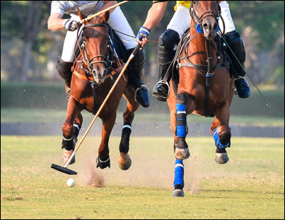 Combien de joueurs compte une équipe de polo ?