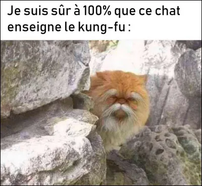 Et veux-tu un paysage, derrière ?