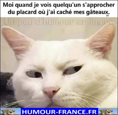 Quelle couleur préfères-tu ?