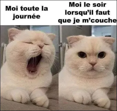 Quelle couleur préfères-tu ?