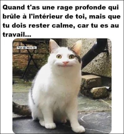 Quelle couleur préfères-tu ?