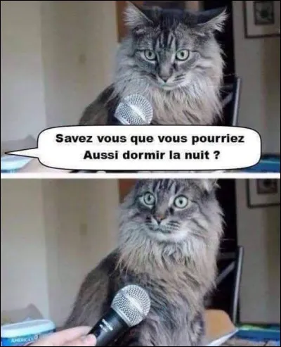 Quelle couleur d'yeux veux-tu ?