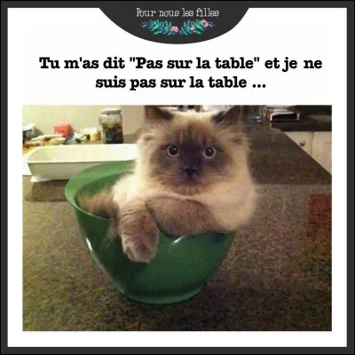 Quelle couleur d'yeux veux-tu ?