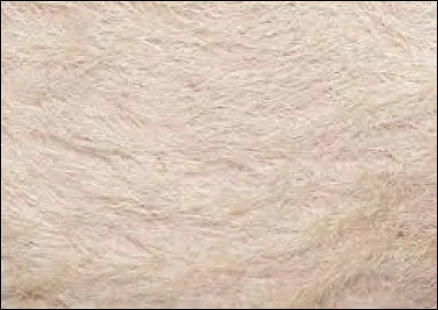 À qui appartient cette peau ?