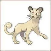 Qui est ce pokemon ?