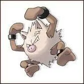 Qui est ce Pokemon ?