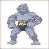 Qui est ce Pokemon ?