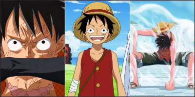 Quelle est la première prime de Luffy ?