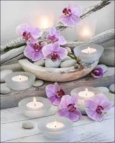 À quelle chanteuse doit-on la chanson "Zen" ?