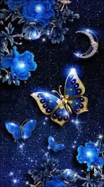 Combien d'ailes un papillon possède-t-il ?