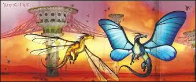 Qui voudrais-tu être ?