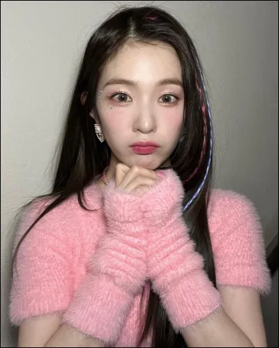 Qui est la leader de Red Velvet ?