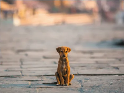 Et pour finir, choisissez la bonne orthographe de ce mot :