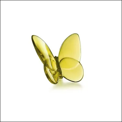 Quel est cet objet porte-bonheur ?