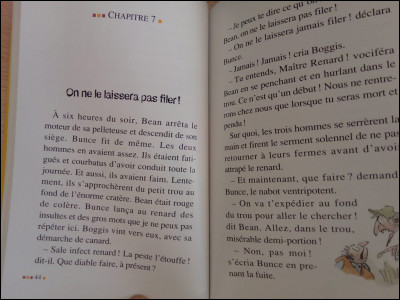 Quel adjectif qualifie ''Maître Renard'' d'après un roman de 1970 ?