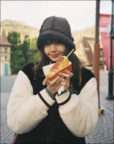 Quel est le plat pr&eacute;f&eacute;r&eacute; de Lisa ?