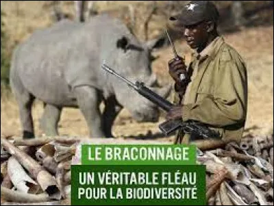 Que faut-il ajouter à "bra" pour obtenir ce qui désigne la chasse ou la pêche illégale ?
