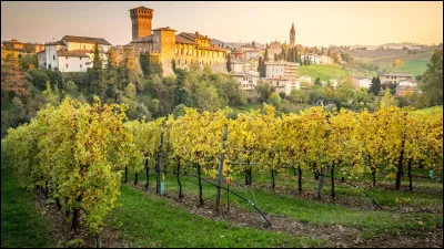 Le nom de cette ville commençant par "mo" ou "mau" est réputée pour son vinaigre. Trouvez de la suite :