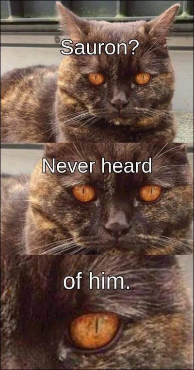 Enfin, quel est ton animal totem ?