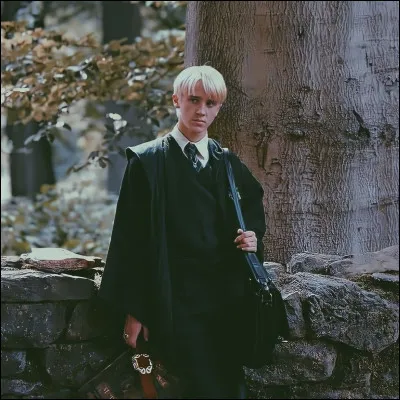 Quel personnage masculin préfères-tu ?