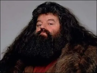 Numéro 8 : Hagrid est un demi-géant et non un géant car...