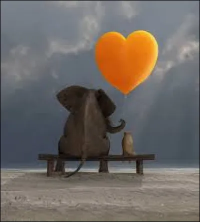 Restons dans la nuance ! Quel animateur a dit "L'amabilité est la gentillesse des gens qui n'ont pas de cur" ?