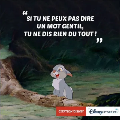 Dans quel dessin animé de Disney entend-on "Si tu ne peux pas dire un mot gentil, ne dis rien du tout" ?