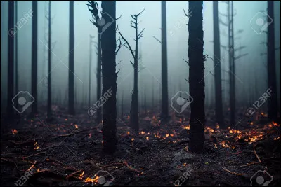 Tu es &agrave; pr&eacute;sent gu&eacute;ri. Tu vois soudain une &eacute;trange nappe de brume avancer vers toi et tes alli&eacute;s. Comment r&eacute;agis-tu ?