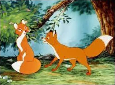 Dans le film Disney "Rox et Rouky", comment s'appelle la renarde dont Rox tombe amoureux ?