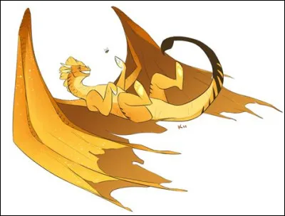 Quelle image t'attire le plus ?