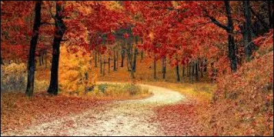 En quelle année la République de Panama a-t-elle obtenu son indépendance ?