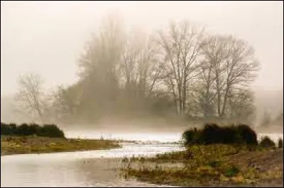 Quel roi est revenu d'exil en novembre 1935 ?