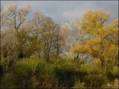 Pour quel roman Yasmina Reza a-t-elle remporté le prix Renaudot en novembre 2016 ?