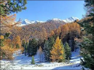 Quel acronyme a été adopté en novembre 1906 comme signal officiel de détresse ?