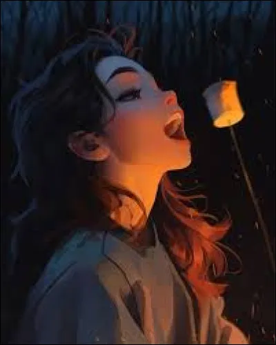 Qu'est-ce que cette image représente ?