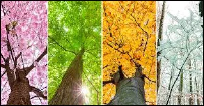 Pour les vacances, tu dois choisir en français un sujet de rédaction, tu choisis :