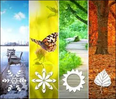 Ton collège organise une sortie mais il laisse le choix aux élèves pour la destination. Dans le formulaire, tu réponds que tu veux aller :