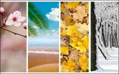 C'est la récréation, mais il fait un drôle de temps ! Tu préfèrerais qu'à la place, il :