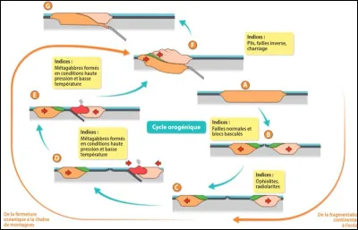 Complétez le schéma suivant :
